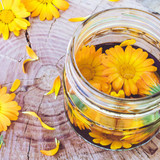 calendula2504