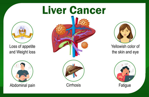 liver2513.jpg