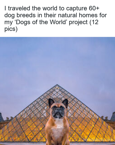 31b23cec c31b 4bcf 9ed8 9e74e21c3a5f.png