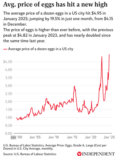 5ec70bb7 54be 4412 8e36 ac0ddf521674 1 all 17560.png