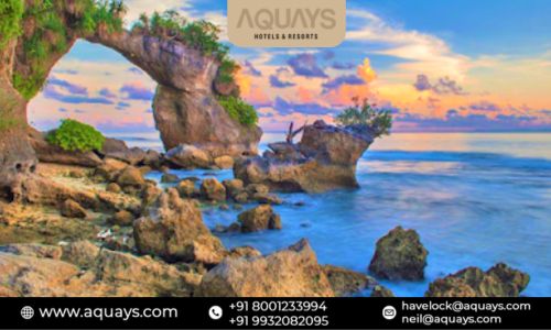 4 Reasons to Choose the Best Beach Resort on Neil Island.jpg