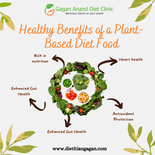 Healthy Benefits of a Plant Based Diet Food.png