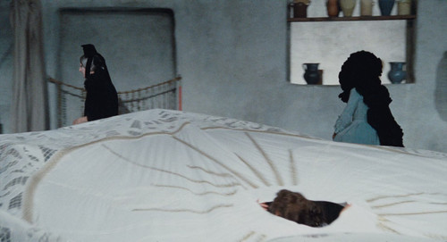 20250218.Casanova.1976.02.jpg