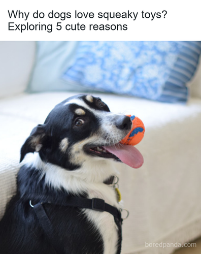 a763e3ef 3019 4475 8278 6fddee0eaeba.png