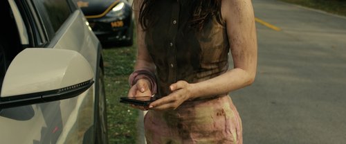 vlcsnap 2025 02 17 22h10m26s229.png