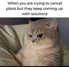 479523637 648516837705614 7547116236385738106 n.jpg