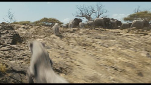 vlcsnap 2025 02 18 20h16m55s925.png