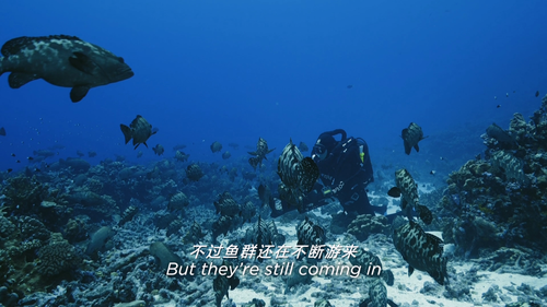 BBCBD0403D1 20250217 201915.804.png