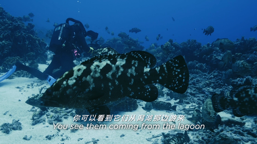 BBCBD0403D1 20250217 201918.547.png