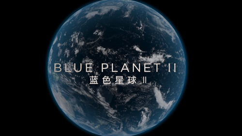 BBCBD0403D1 20250217 201723.996.png