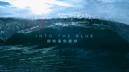 BBCBD0403D1 20250217 201845.620.png