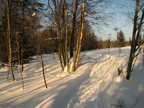 IMG 0044 1.jpg