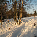 IMG 0044 1