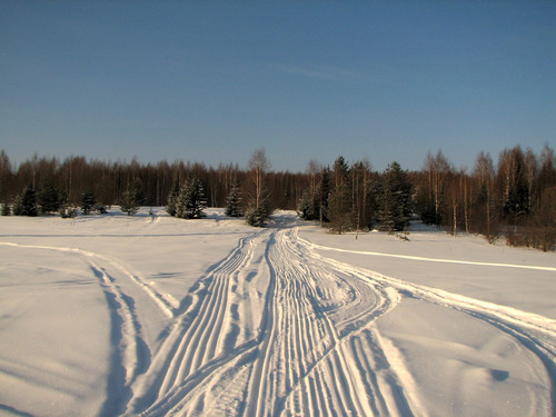 IMG 0049 1.jpg