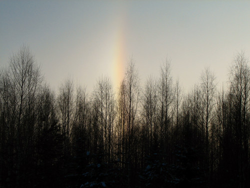 IMG 0068 1.jpg