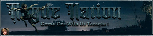 KidFly Banner.jpg