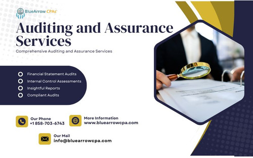 Auditing and Assurance Services (1).jpg
