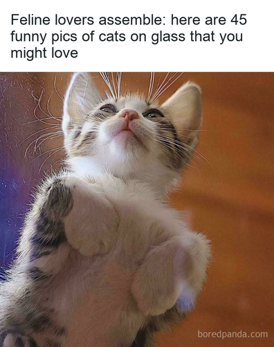 f912e8f1 6ca2 4b20 af5b 07ec65534662.png