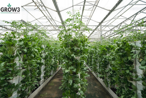 Vegetable Grow Lights for Thriving Gardens LED Smart Inc..jpg