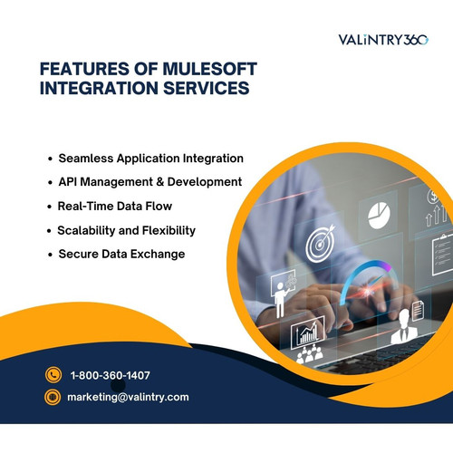 features of MuleSoft Integration Services.jpg