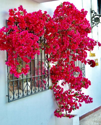 alan goswell 0kQBj7U9LkE unsplash.jpg