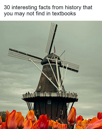 bc7e82da f386 488f 8a6f aa35761573ea.png