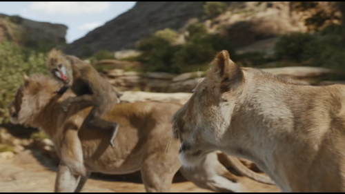 vlcsnap 2025 02 17 18h59m51s645.png