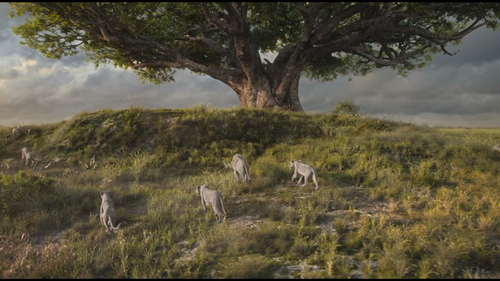 vlcsnap 2025 02 17 18h59m48s827.png