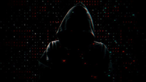 Silhouette of a hacker on the background of binary code and pirate red skulls.jpg