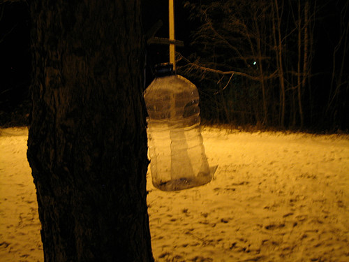 IMG 0022 1.jpg