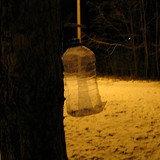 IMG 0022 1