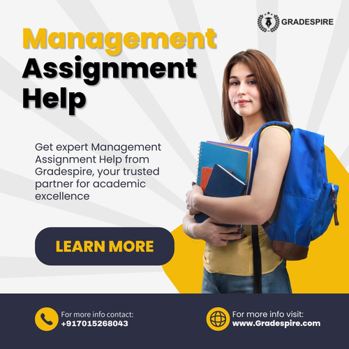 Professional Guidance for Your Management Assignment Help Needs.jpg