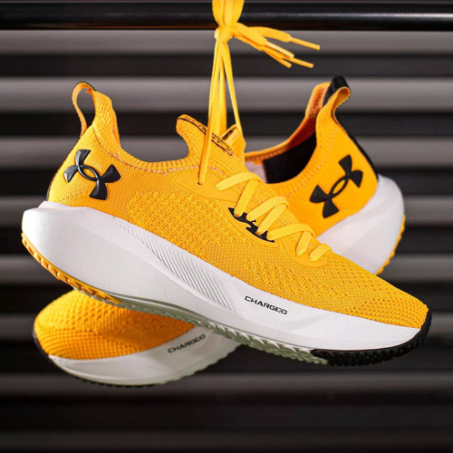 Under Armour Ch Slight 3.jpg