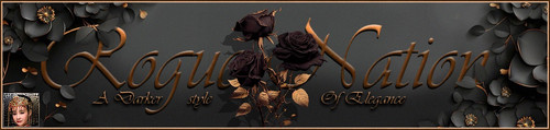 Darker Banner.jpg