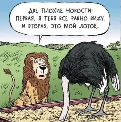 lotok.jpg
