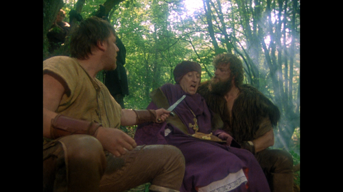 cap Robin.of.Sherwood.S02E01.The.Prophecy.1080p.BluRay.REMUX.AVC.DTS HD.MA.2.0 M29 00 29 15 01.png