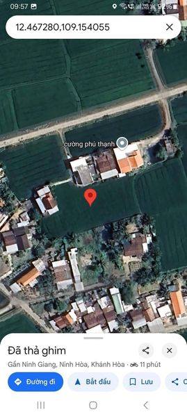 465984445 3953660211573340 185640799105373361 n.jpg