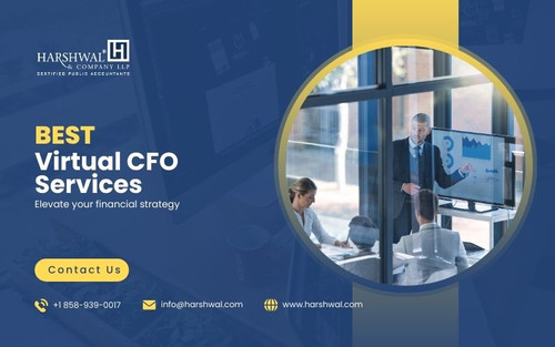 best virtual cfo services elevate your financial strategy.jpg