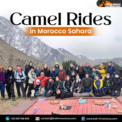 Camel Rides in Morocco Sahara.jpg