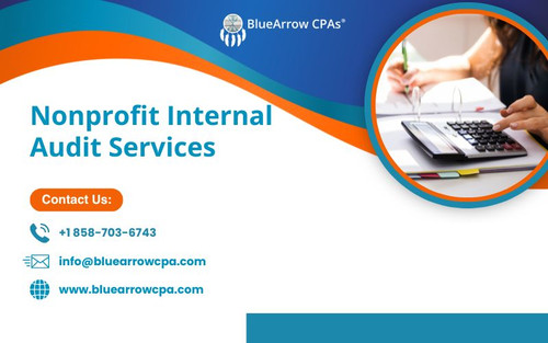 Nonprofit Internal Audit Services.jpg