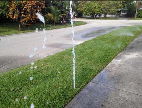 Find the best lawn sprinkler irrigation system installation in Broward. We provide irrigation system installation and lawn sprinkler installation in Broward.

Visit Site:- https://allsprinkler.com/installation

CONTACT US
A&S IRRIGATION INC.
4051 Northeast 8th Terrace, Fort Lauderdale, Florida 33334, United States

954-565-5230
561-391-8448

info@allsprinkler.com
contact@allsprinkler.com