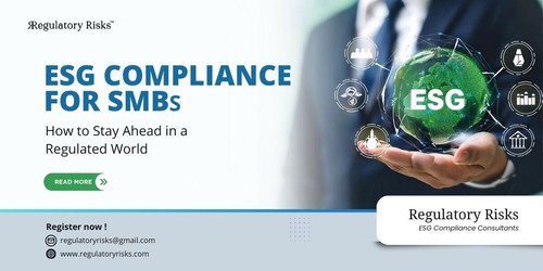 ESG Compliance Consultants.jpg