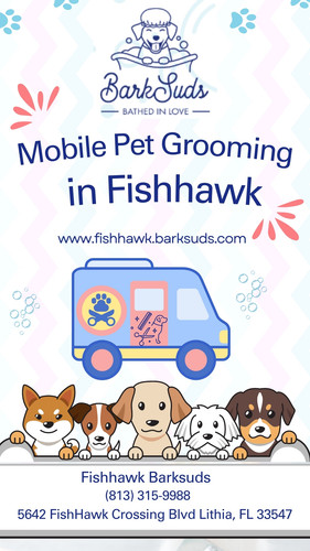 Mobile Pet Grooming in Fishhawk.jpg
