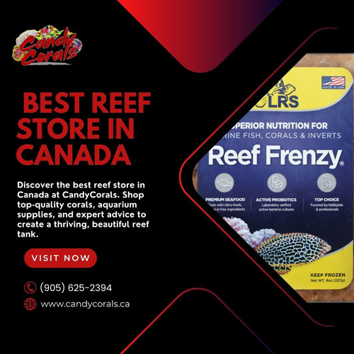 Best Reef Store in Canada Premium Corals & Aquarium Products.jpg