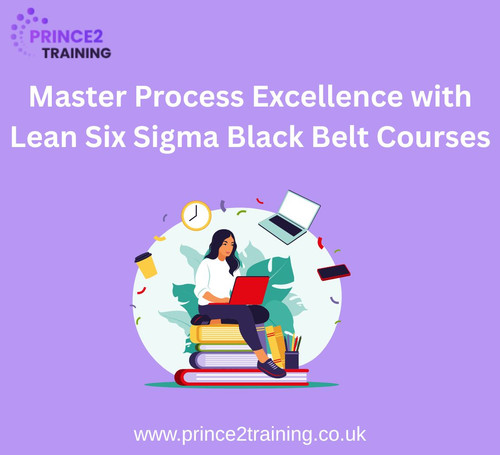 Master Process Excellence with Lean Six Sigma Black Belt Courses.jpg