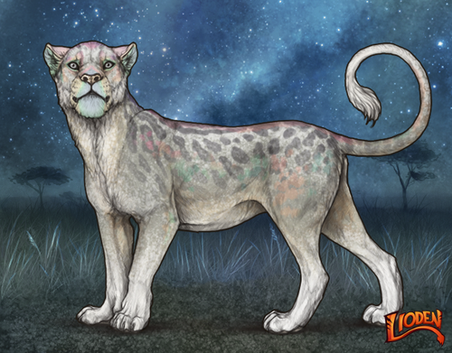 lioden wardrobe (79).png