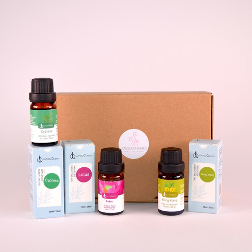 zen garten preis.jpg