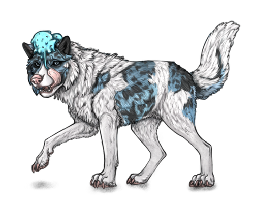 IMG 5530.png