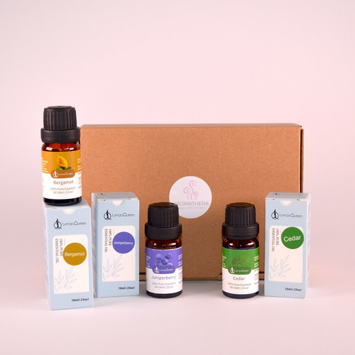 wustenlicht preis.jpg