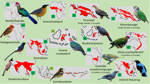 Bush (Loslopers 3).png